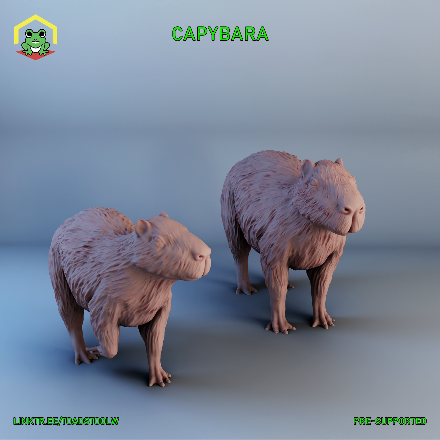 Capybara by The Toadstool Weaver
