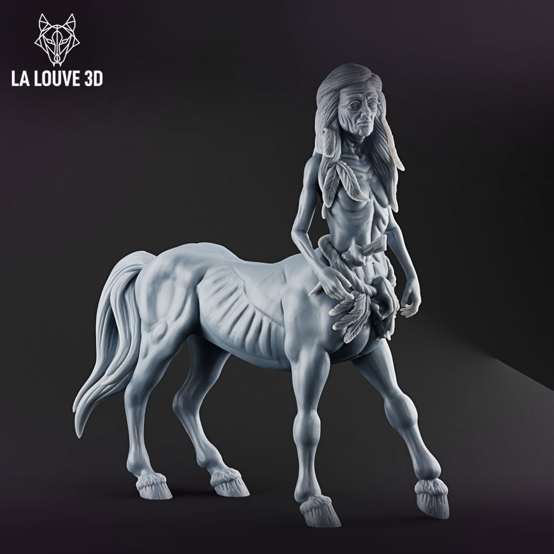 Centaur Shaman by La Louve 3D
