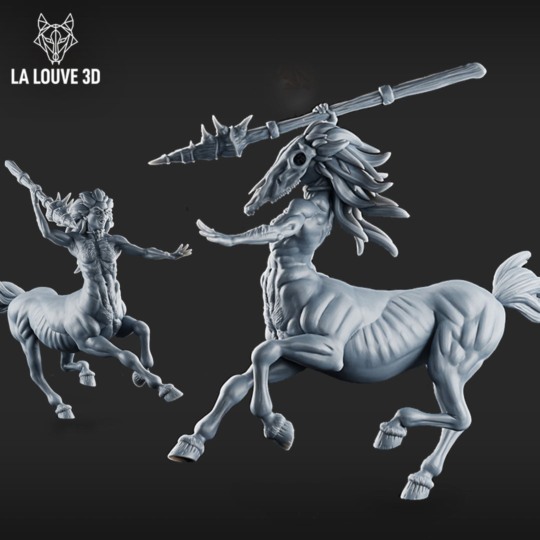 Fighting Centaur by La Louve 3D