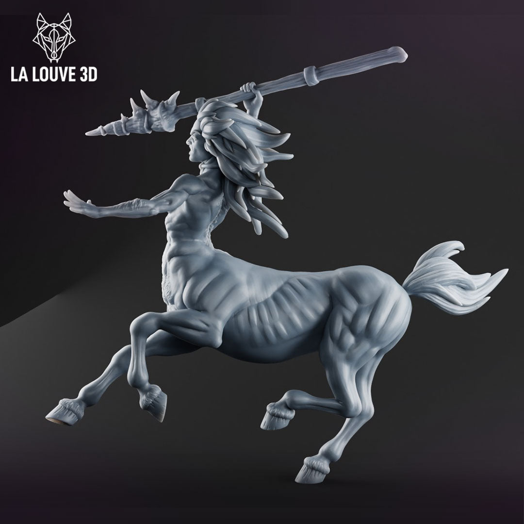 Fighting Centaur by La Louve 3D