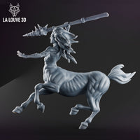 Fighting Centaur by La Louve 3D