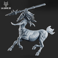 Fighting Centaur by La Louve 3D