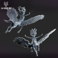 Centaur Pegagus by La Louve 3D
