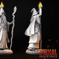 Human Wizard (Solon) by Primal Collectibles