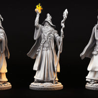 Human Wizard (Solon) by Primal Collectibles