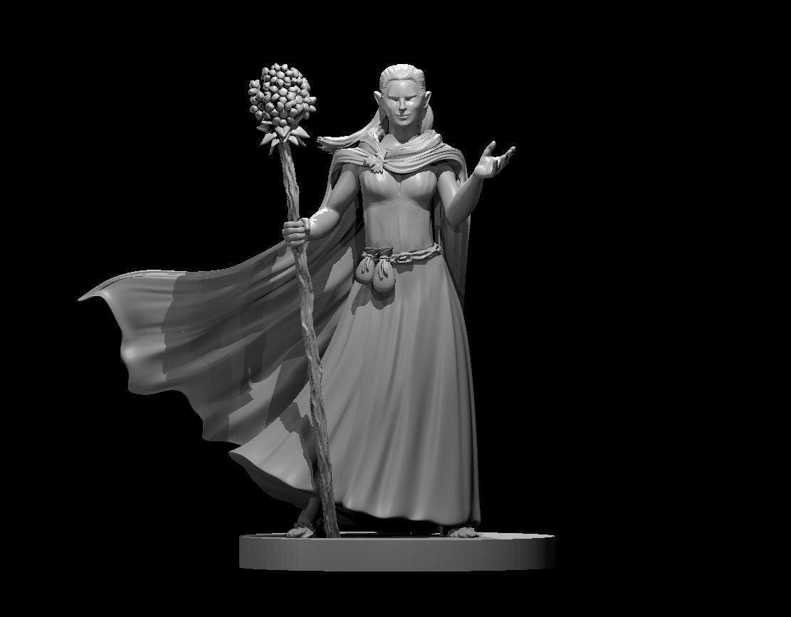 Elf Druid Female w/Staff by MZ4250