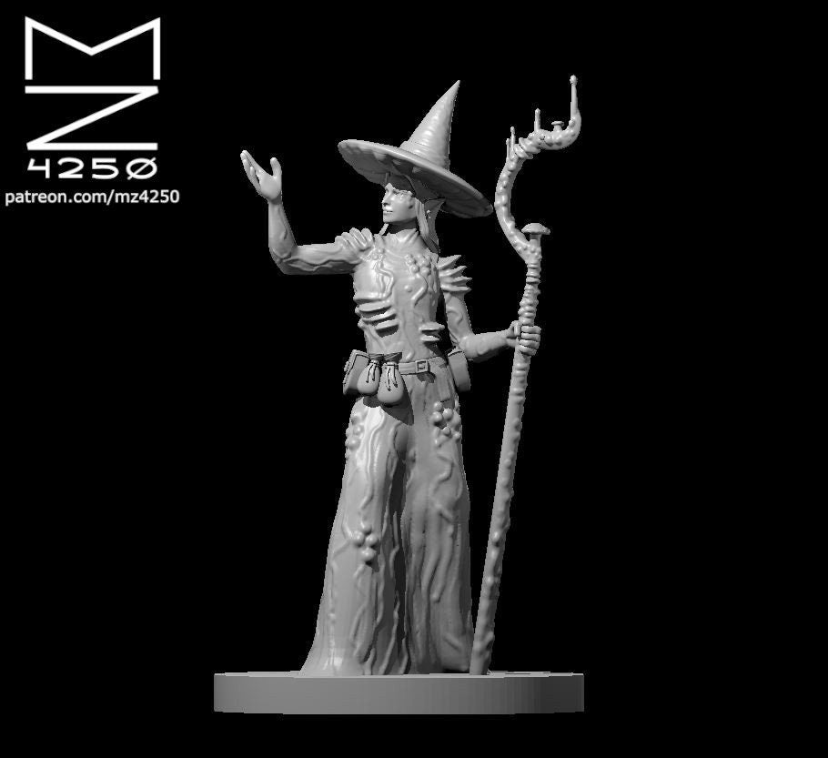 Elf Druid Female w/Hat by MZ4250
