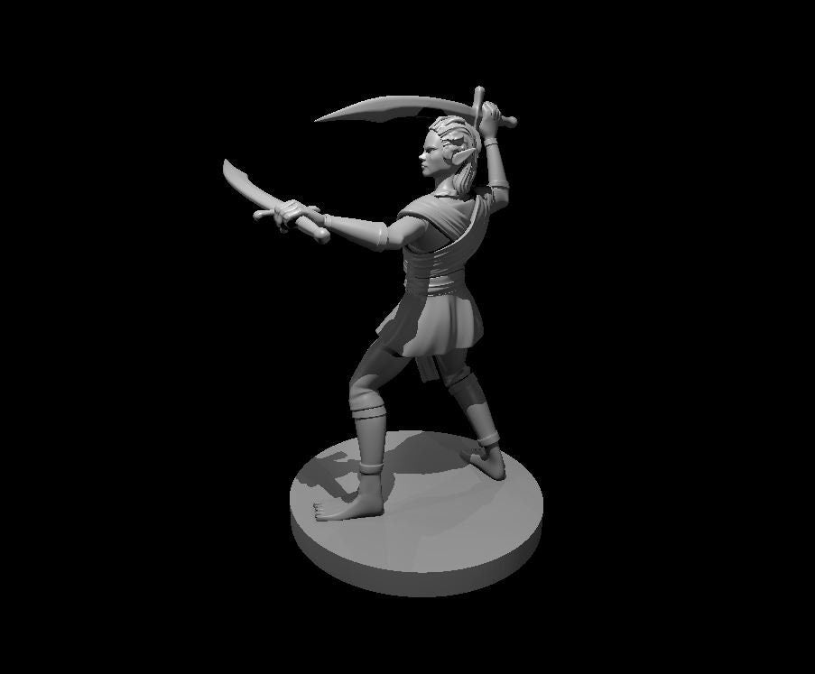 Elf Fighter w/ 2 Scimitars by MZ4250