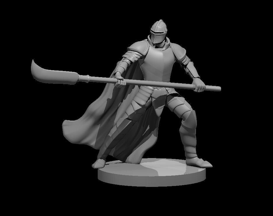 Human Male Fighter w/ Whip by MZ4250
