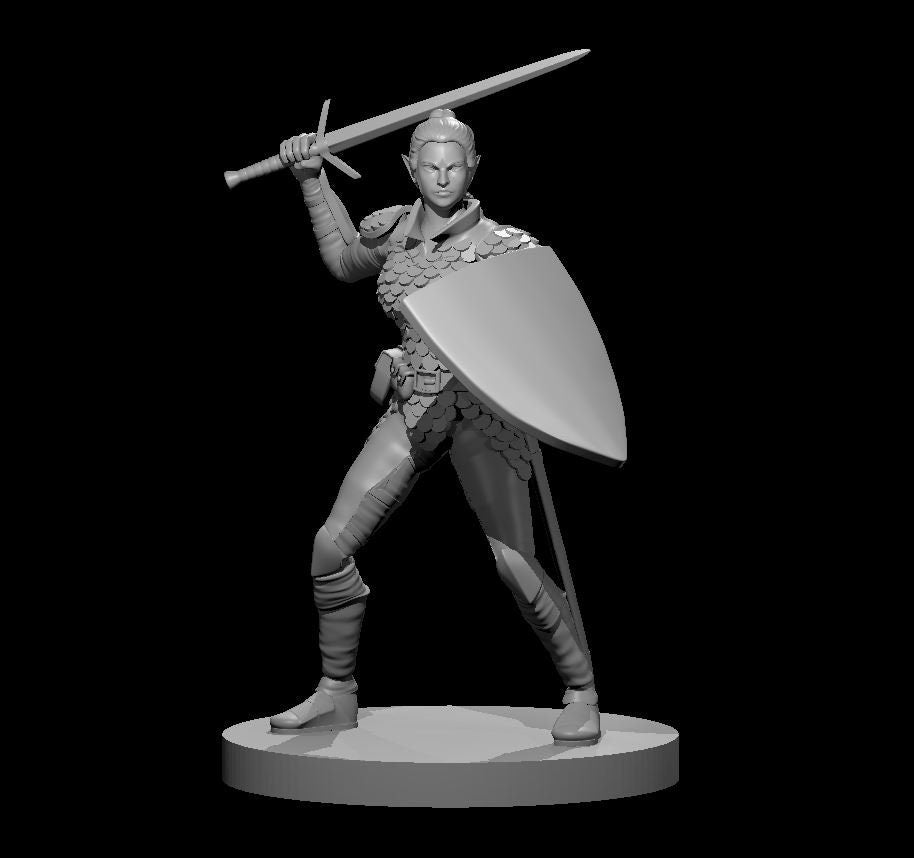 Elf Paladin Female w/ Swrd&Shld by MZ4250