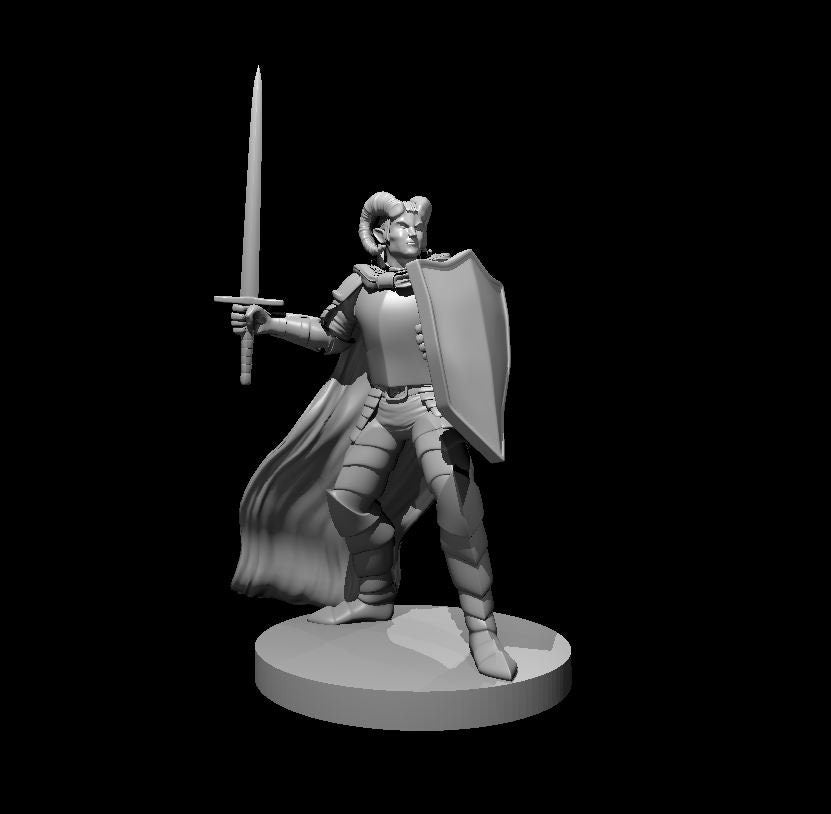 Unpainted grey resin digital render of a male tiefling paladin miniature at 32mm scale. The figure wears segmented plate armour with a flowing cloak billowing behind him. He holds a longsword extended outward in a challenging pose, with a heater shield raised in his other hand. Small curved horns sit atop his head and he gazes forward with a determined expression. The miniature stands on a round flat base.