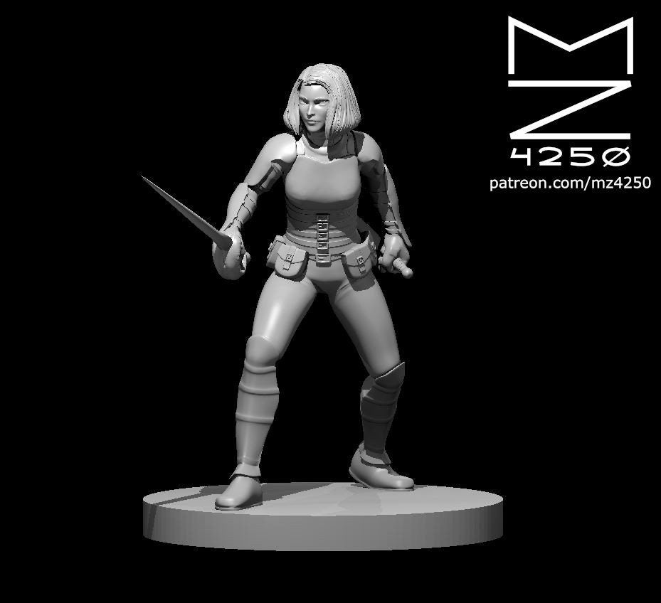 Human Female Rogue Dual Swords by MZ4250