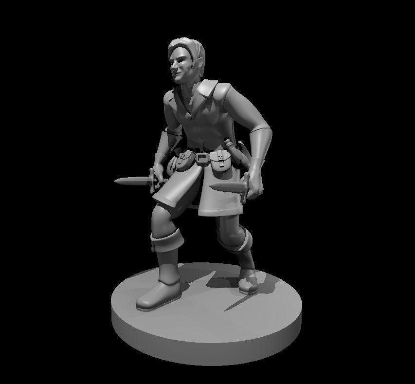 Human Male Rogue w/ 2 Daggers by MZ4250
