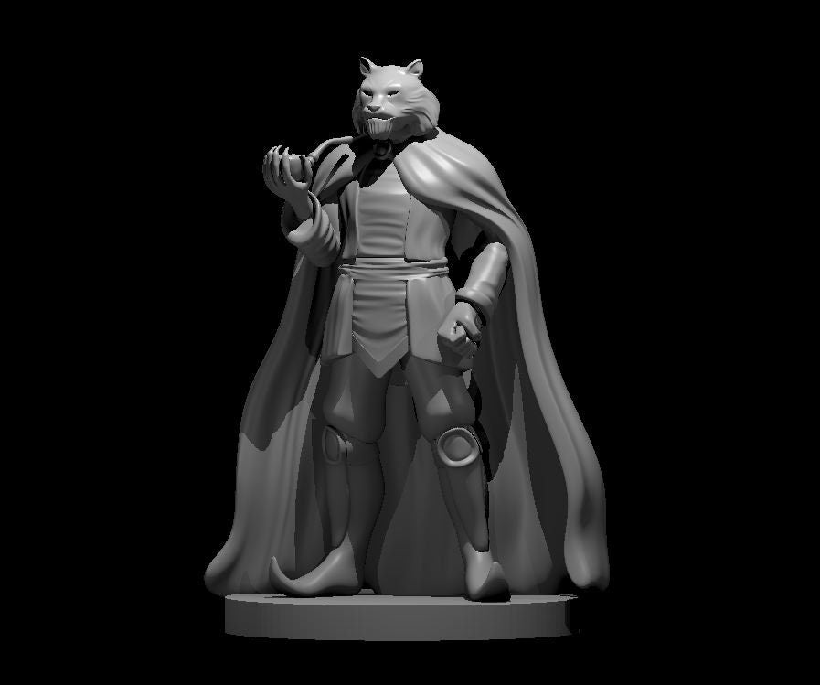 Grey resin digital render of a Rakshasa miniature at 32mm scale — tiger-headed male figure in a sweeping full-length cape, one clawed hand raised, wearing layered tunic and articulated leg armour, mounted on a flat round base
