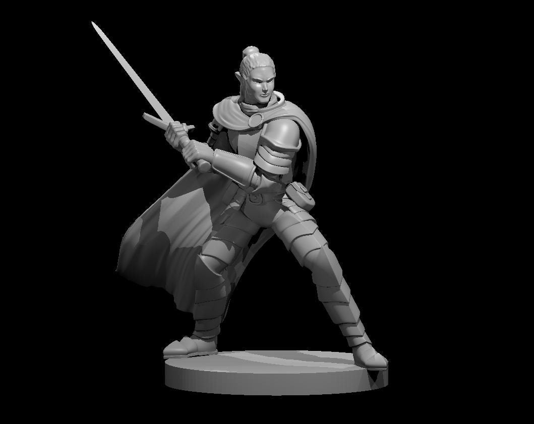 Elf Paladin Male w/ Halbred by MZ4250