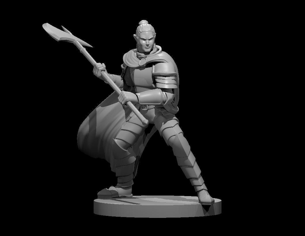 Elf Paladin Male w/ Axe by MZ4250