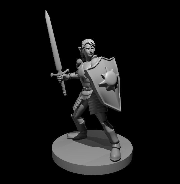 Elf Paladin Male w/ Swrd&Shld by MZ4250