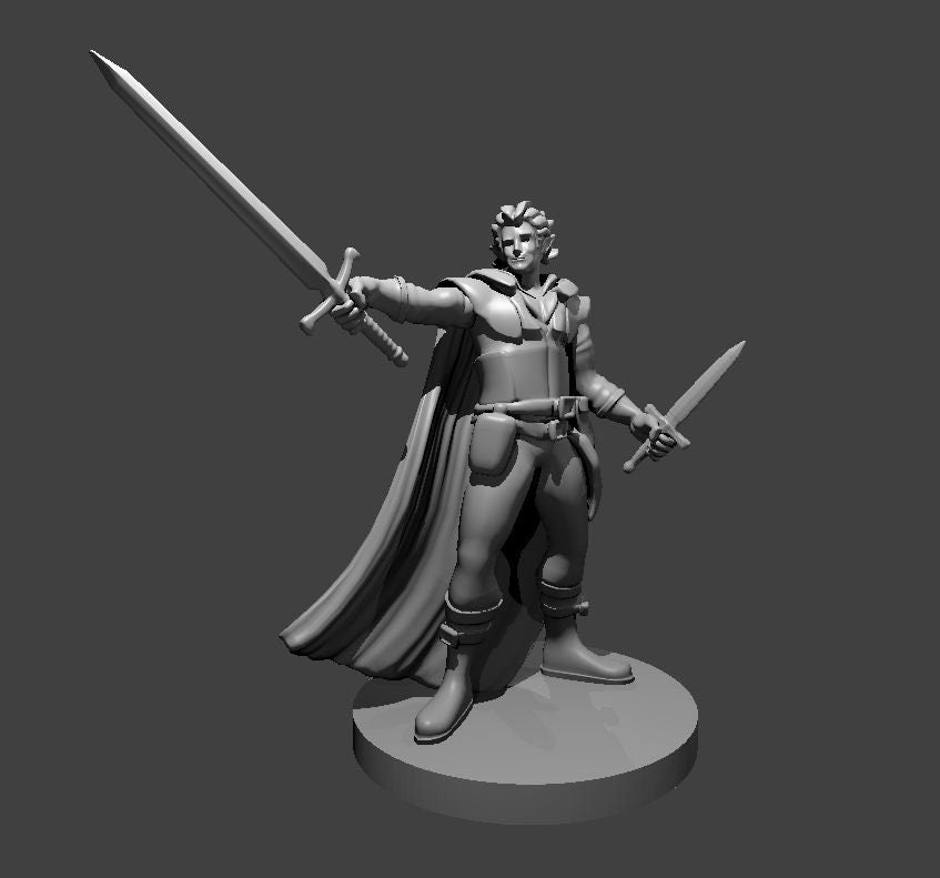 Elf Rogue Swashbuckler by MZ4250
