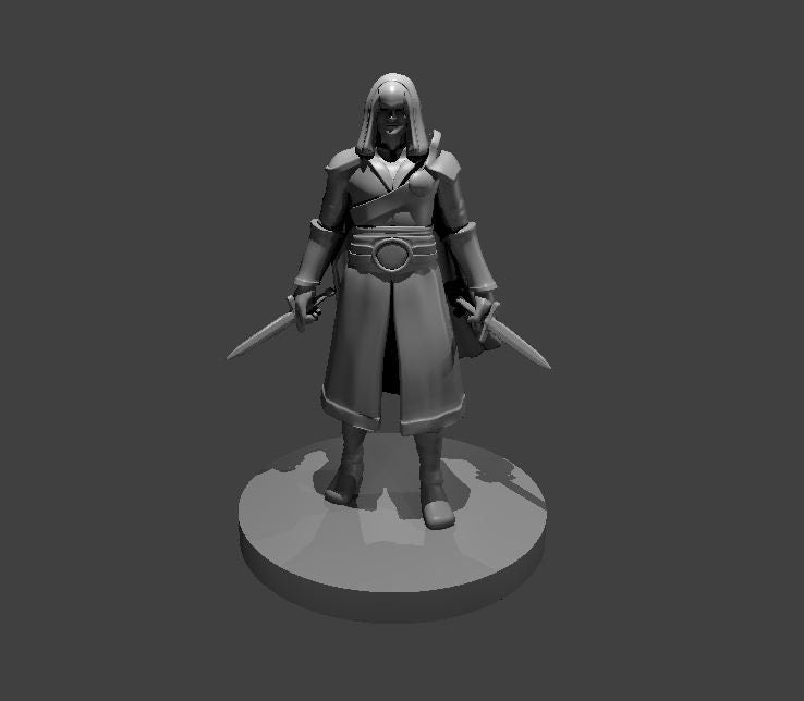 Human Male Rogue Assassin by MZ4250