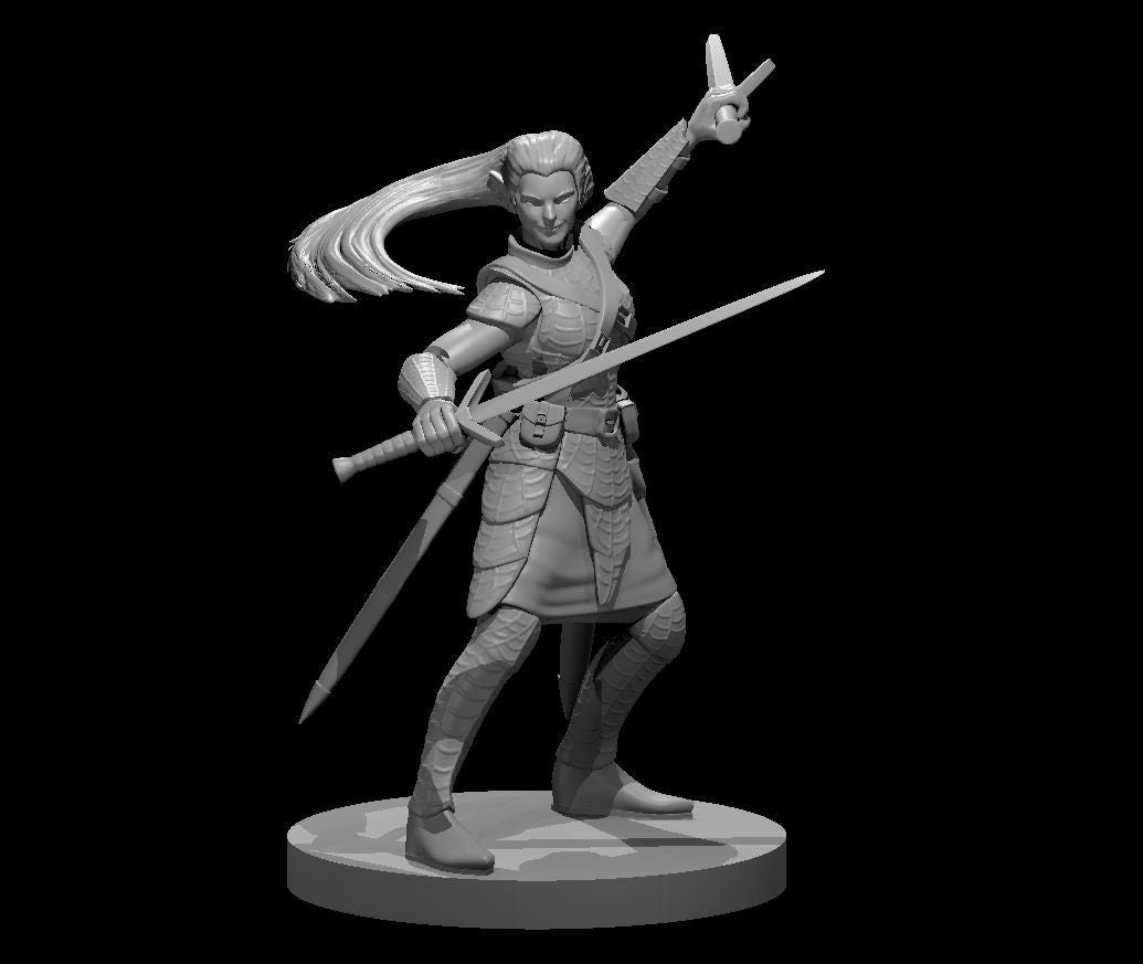 Elf Wizard w/2 Scimtars by MZ4250