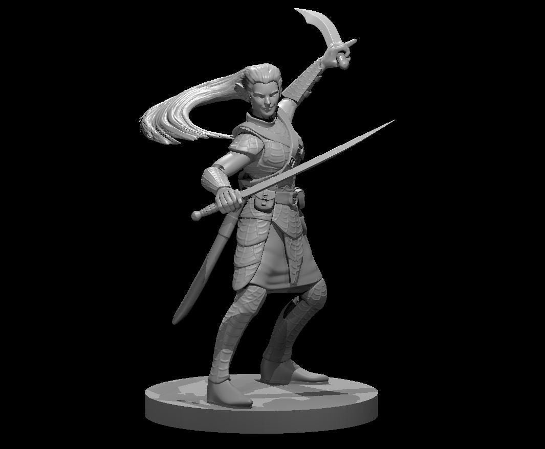 Elf Wizard w/2 Swords by MZ4250