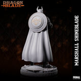 Fighter / Knight (Marshall Shineblade) by Primal Collectibles