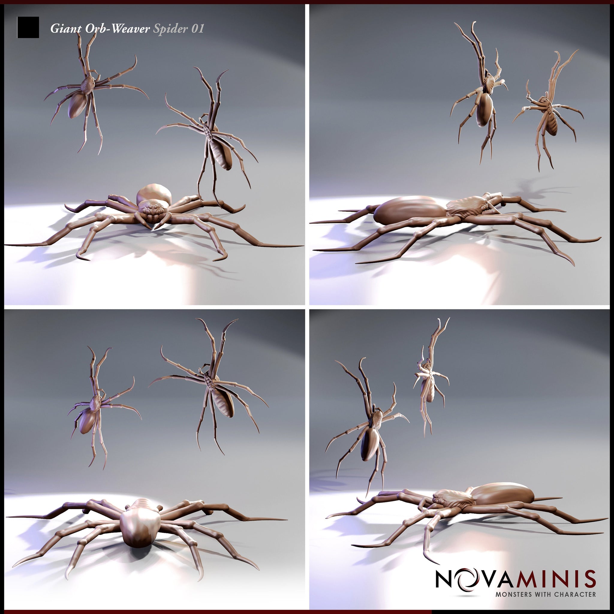 Giant Orb Weaver Spider 01 by Novaminis