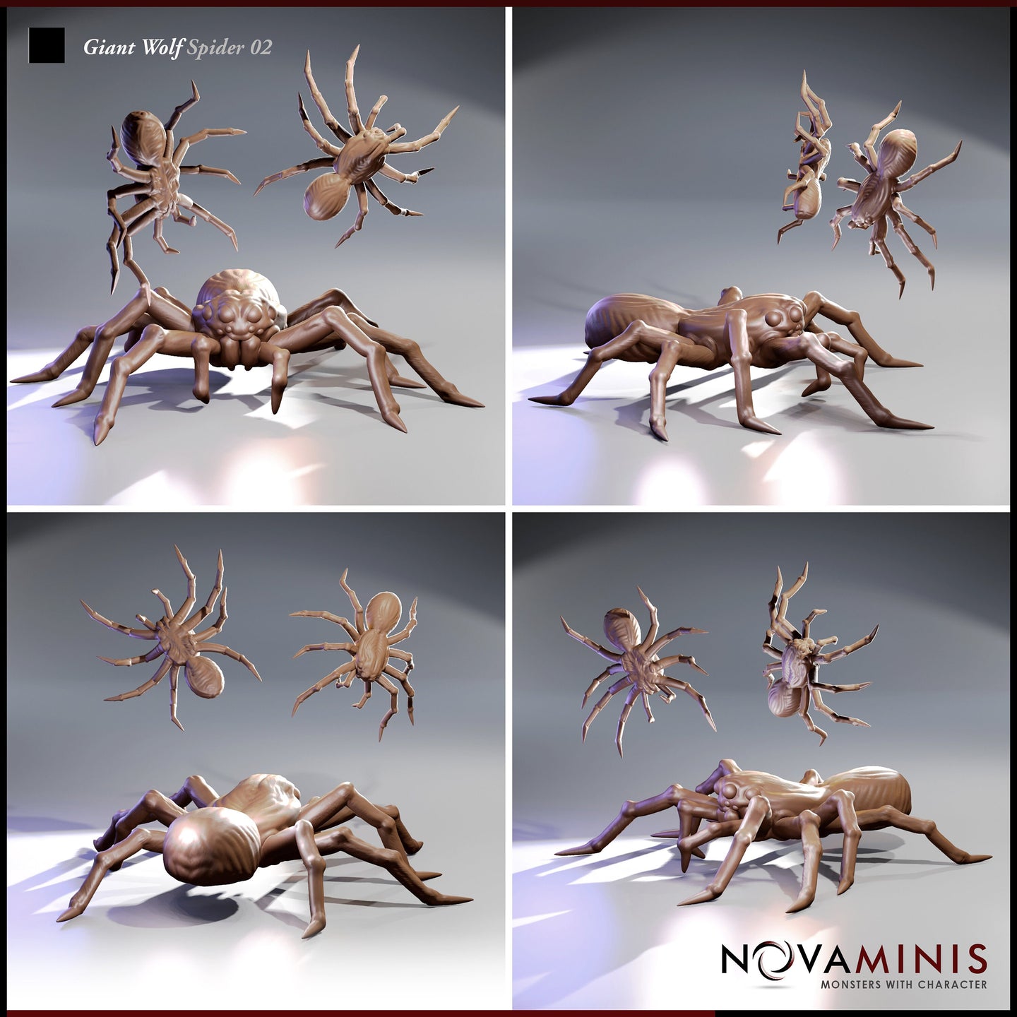 Giant Wolf Spider 02 by Novaminis