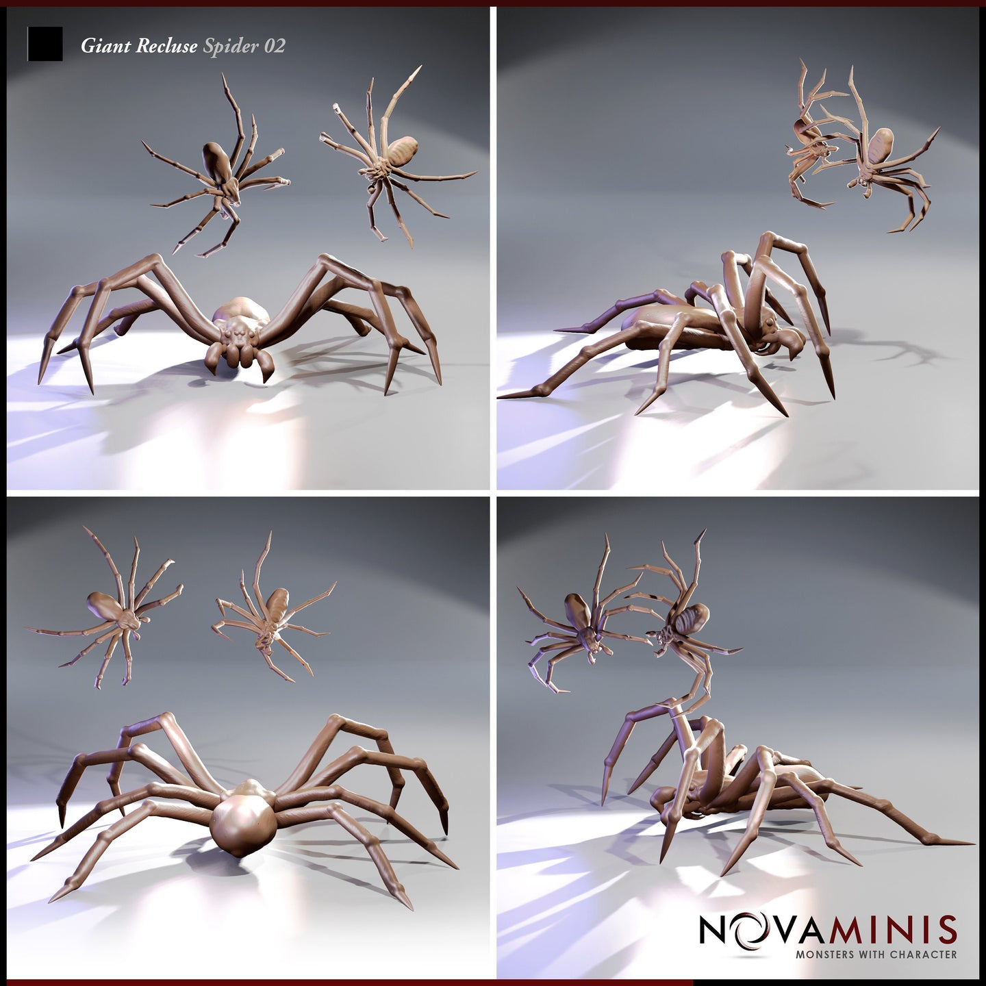 Giant Recluse Spider 02 by Novaminis