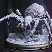 Phase Spider Broodmother (Xylanth) by DM Stash