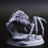 Phase Spider Broodmother (Xylanth) by DM Stash