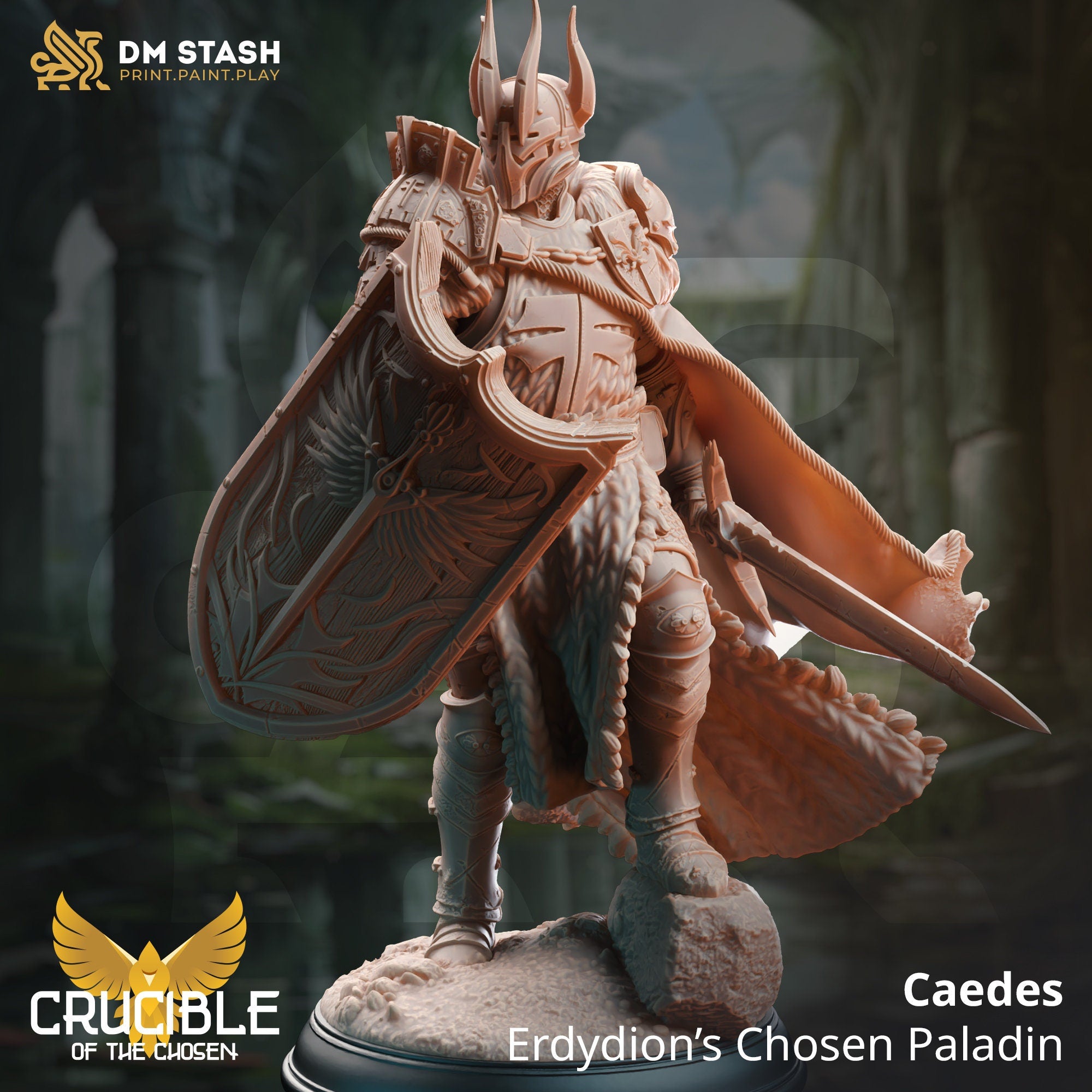 Paladin (Caedes - Erdydions Chosen Paladin) by DM Stash