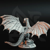 Red Dragon (Rokarthion The Red Tyrant) by DM Stash