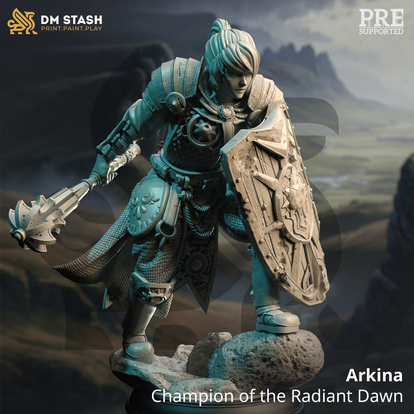 Female Champion Cleric / Paladin (Arkina) by DM Stash