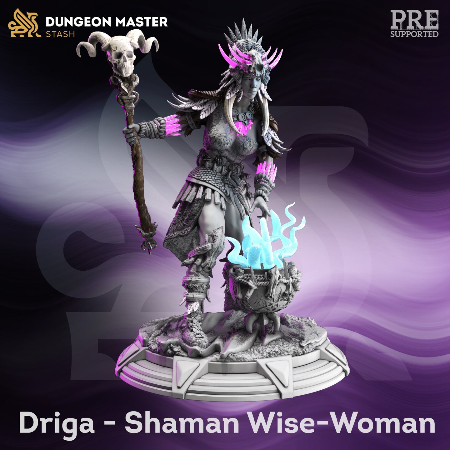 Shaman Wise Woman (Driga) by DM Stash
