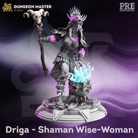 Shaman Wise Woman (Driga) by DM Stash