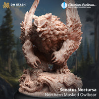 Northern Masked Owlbear (Sonatus) by DM Stash