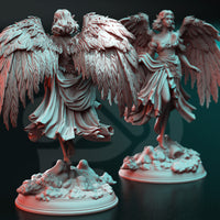 Angel (Cesedra) by DM Stash