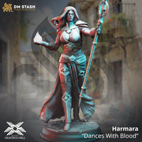 Elf Sorcereress (Harmara Dances With Blood) by DM Stash