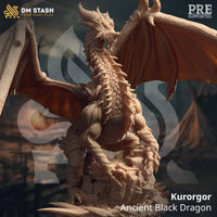 Black Dragon (Kurorgor) by DM Stash