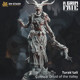 Colossal Druid of the Valley (Turak'Tali) by DM Stash