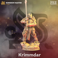 Dragonborn Fighter (Krimmdar) by DM Stash