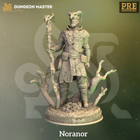 Male Druid (Noranor) by DM Stash