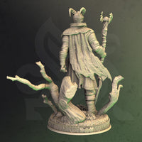 Male Druid (Noranor) by DM Stash