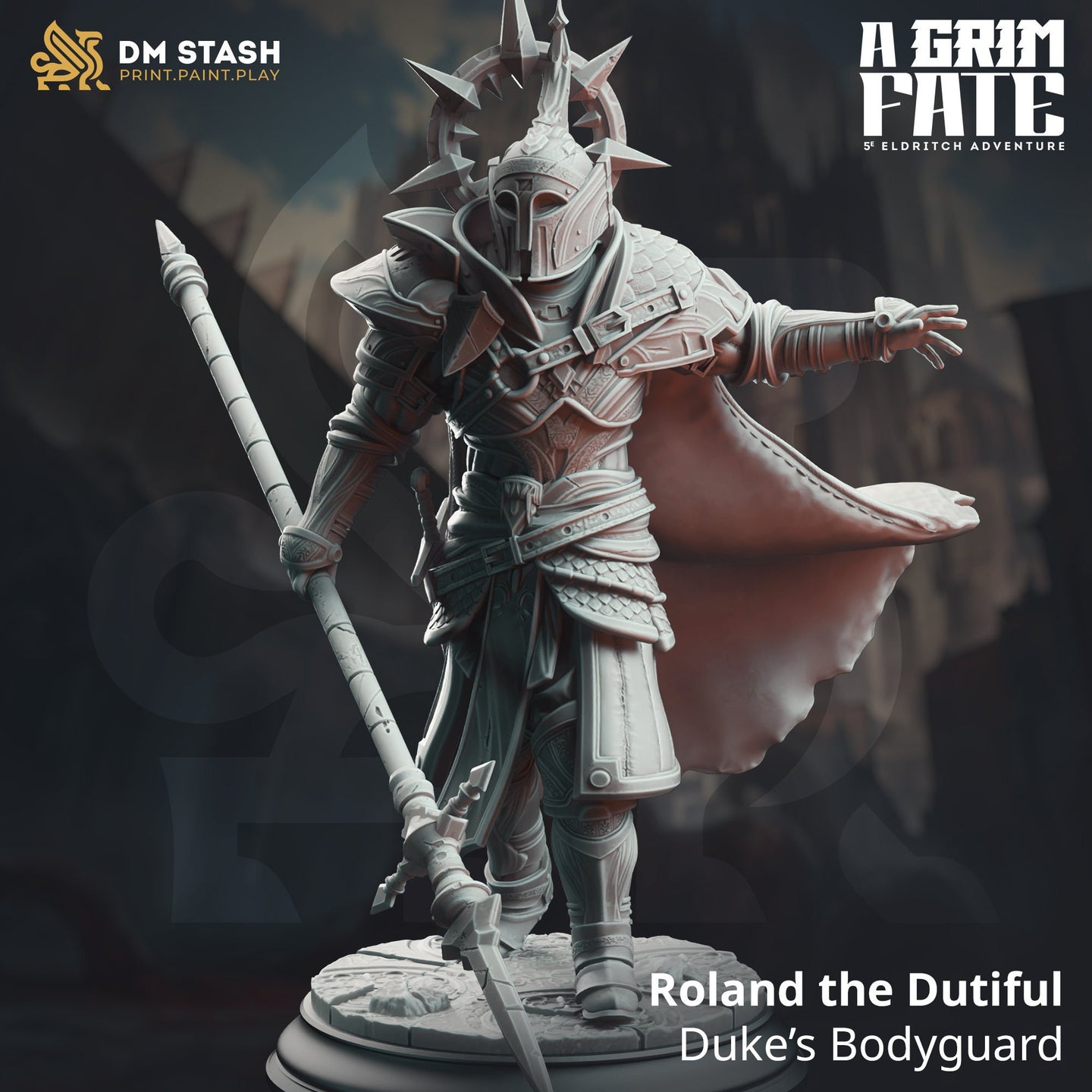 Cleric / Paladin (Roland the Dutiful - Dukes Bodyguard) by DM Stash