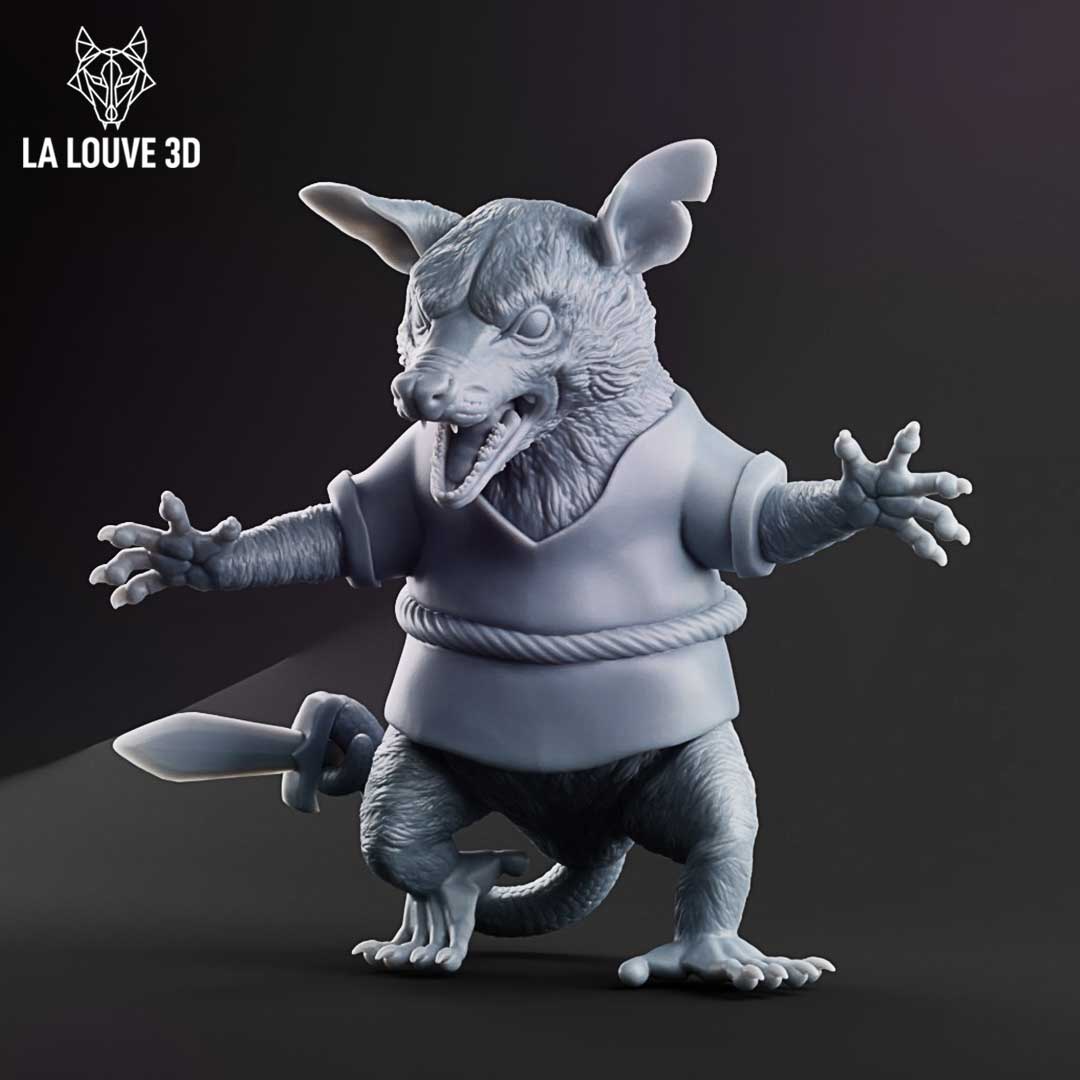 Assassin Opossum by La Louve 3D